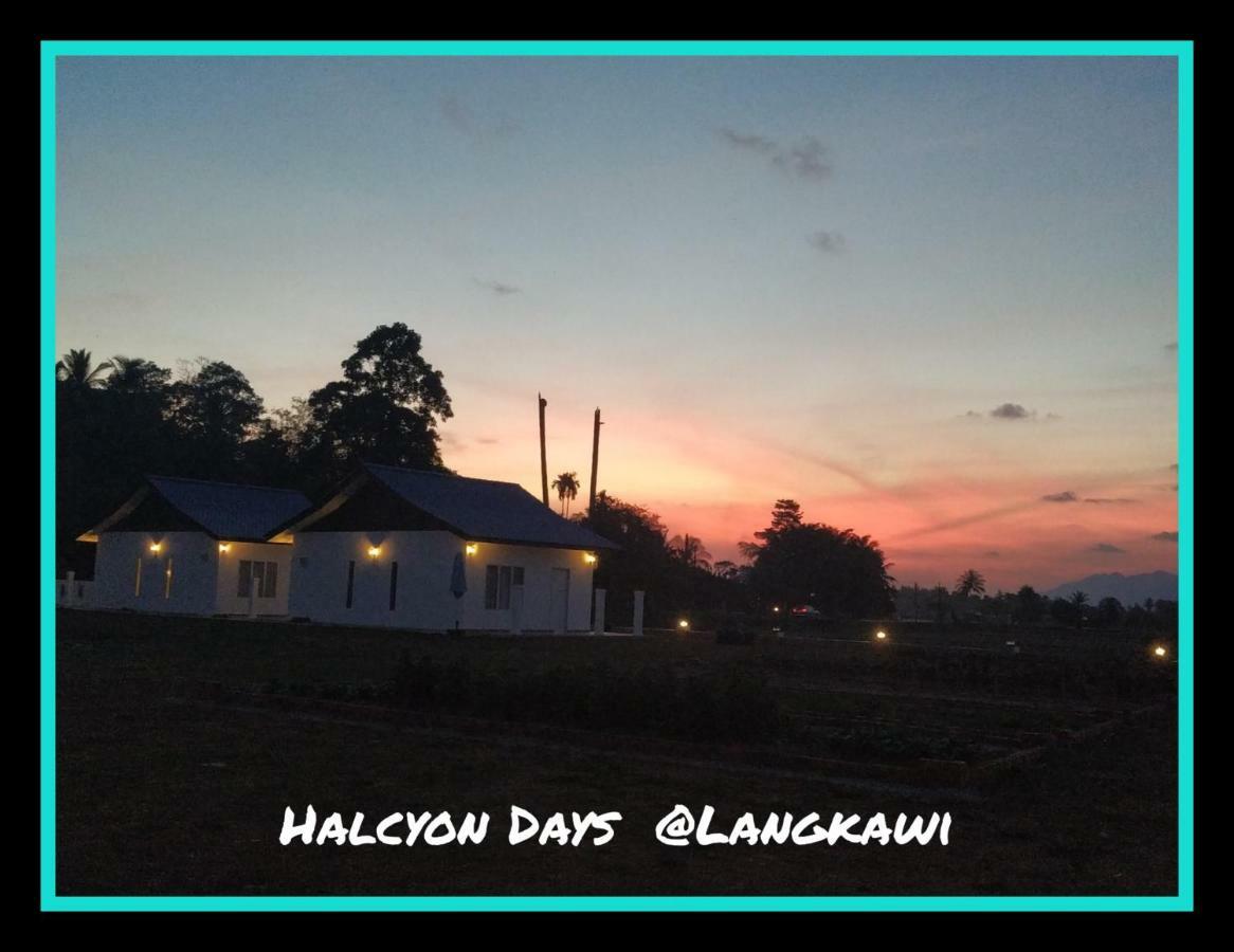 パンタイ・サナングHalcyon Days @ Langkawiアパートメント エクステリア 写真